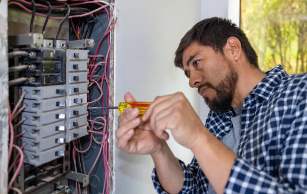 Best Electric Panel Repair  in Newton, IL